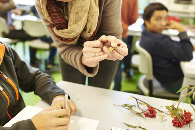 Ein Arbeitstisch mit einem Schüler und einer Lehrkraft, die Beeren begutachten und dokumentieren.
